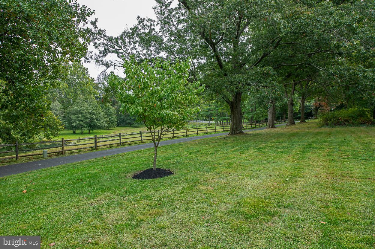 AMBLER - Residential