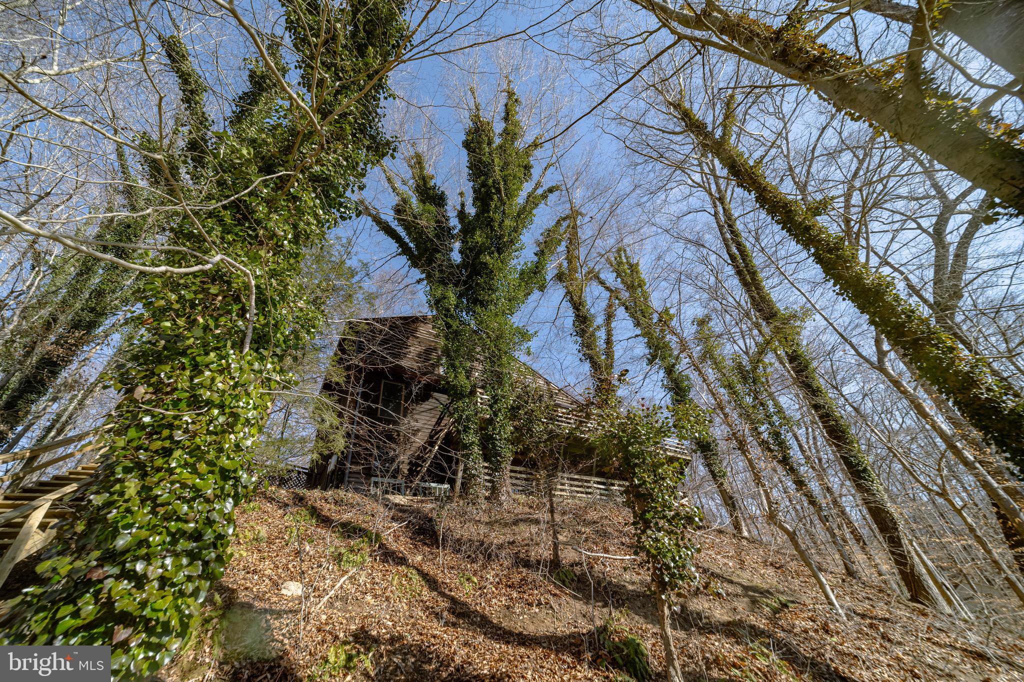 OCCOQUAN FOREST - Residential