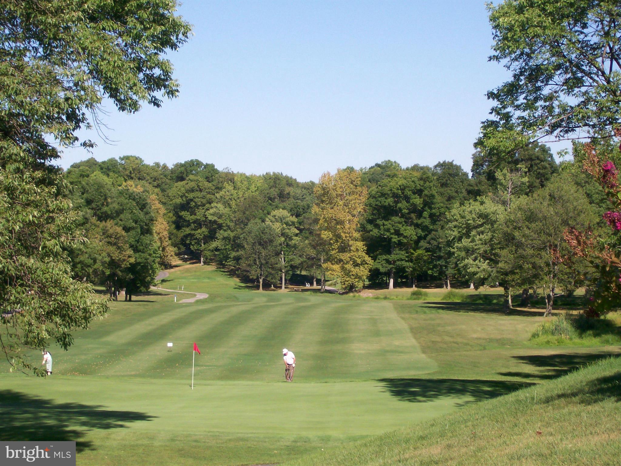 GREENS AT LEISURE WORLD - Residential