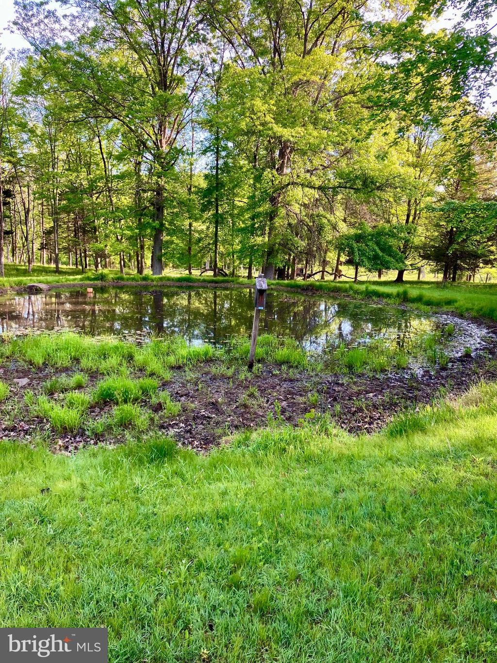 Photo of 3159 Bristol Road, DOYLESTOWN, PA 18901 (MLS # PABU2095694)
