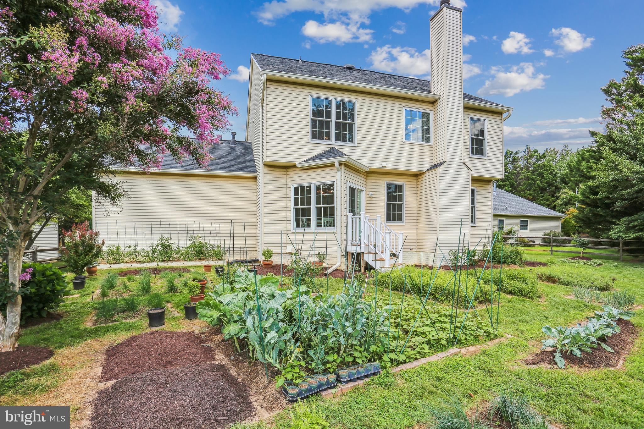 HICKORY GROVE - Residential