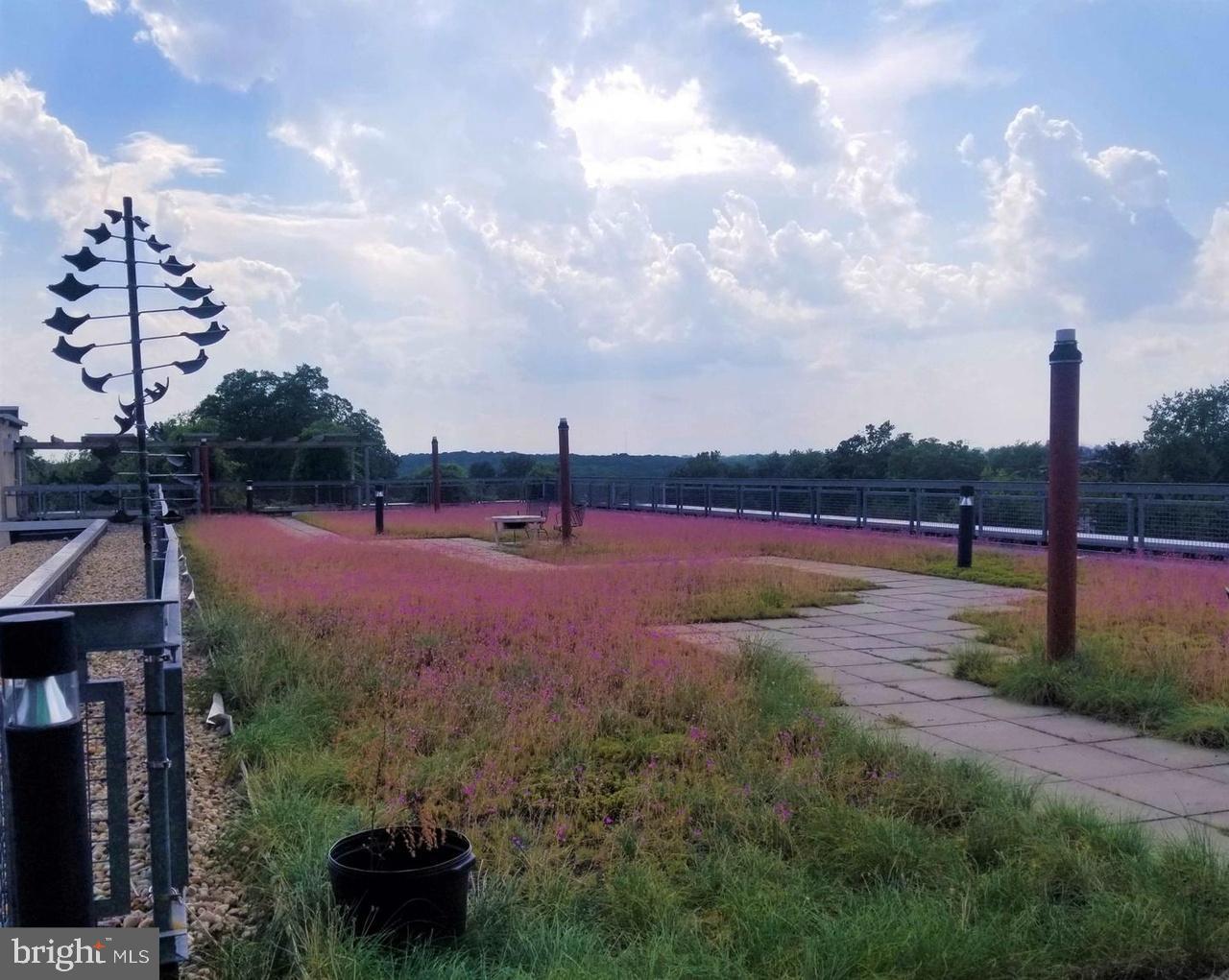 SILVER SPRING - Residential