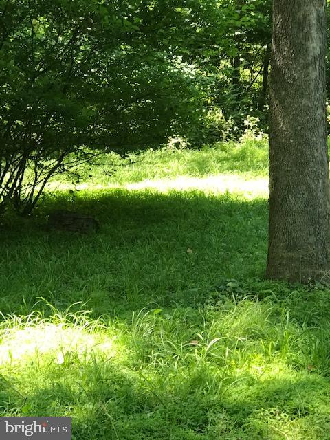 CACAPON HILLS - Land