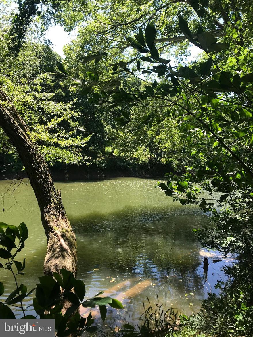 GORGEOUS WATERFRONT LOT! 127 ft on the Cacapon River. Located in Hampshire County by the Morgan County line.  Build your dream home or use this lot for camping, kayaking, swimming or just enjoy the quiet.  1.37 acres some cleared some wooded.  Large shed with electric, well installed. Nature at its best, you might just see the otters.  Make your dreams come true and must see when looking for WATERFRONT property.