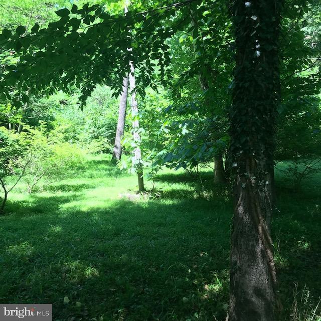 CACAPON HILLS - Land