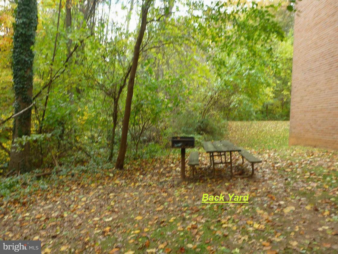 RIVER TERRACE - Residential Lease