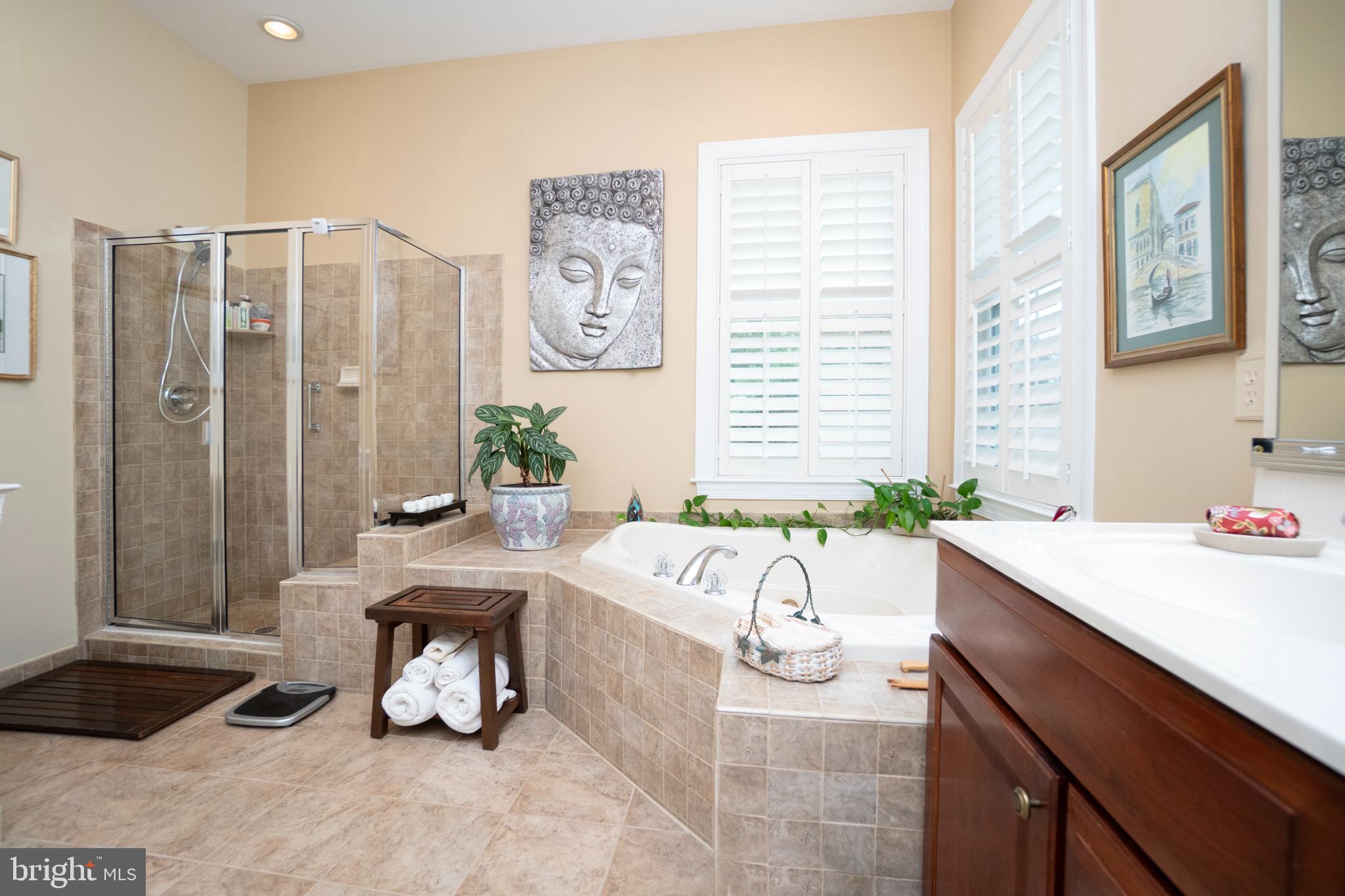 REGENCY AT DOMINION VALLEY - Residential