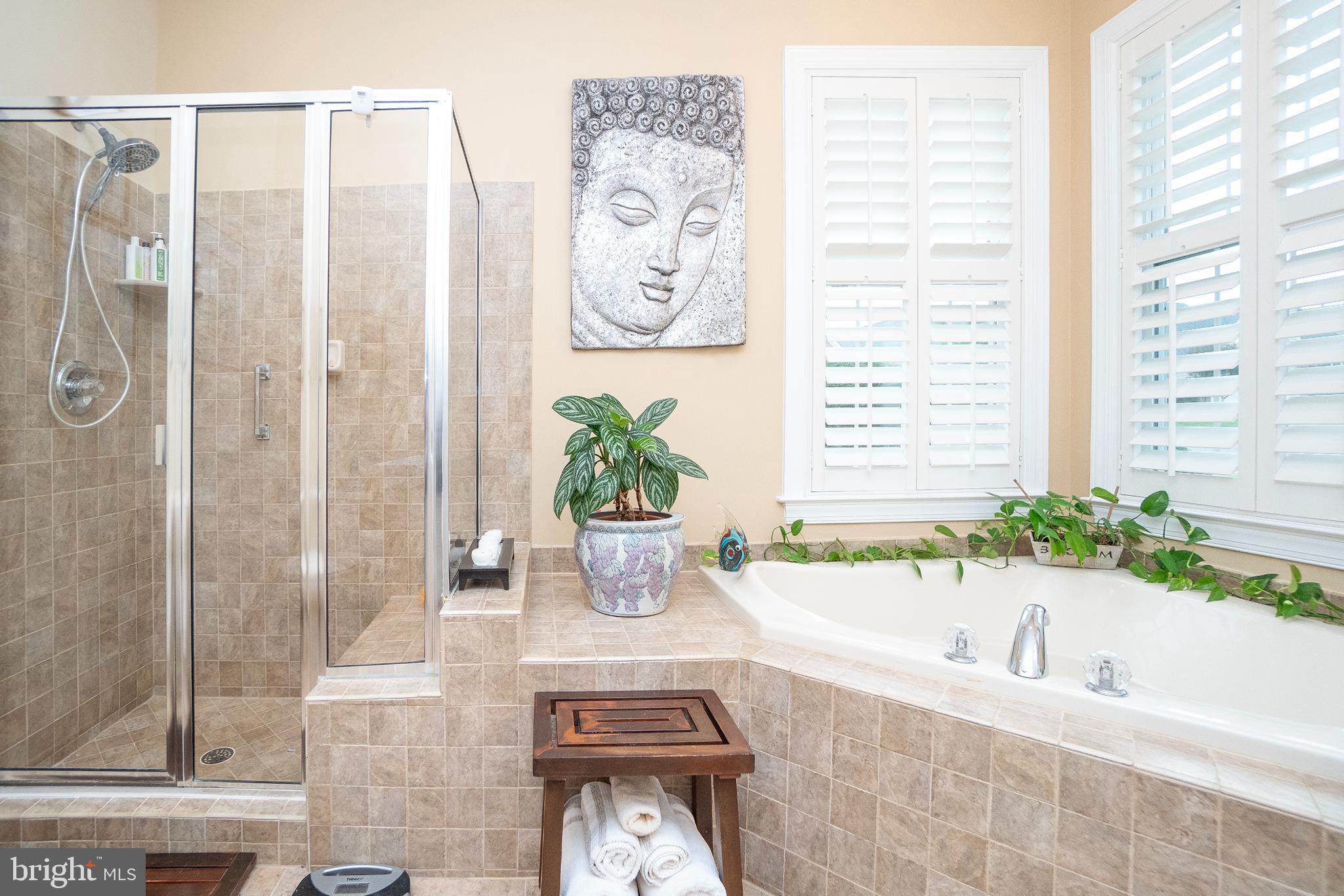 REGENCY AT DOMINION VALLEY - Residential