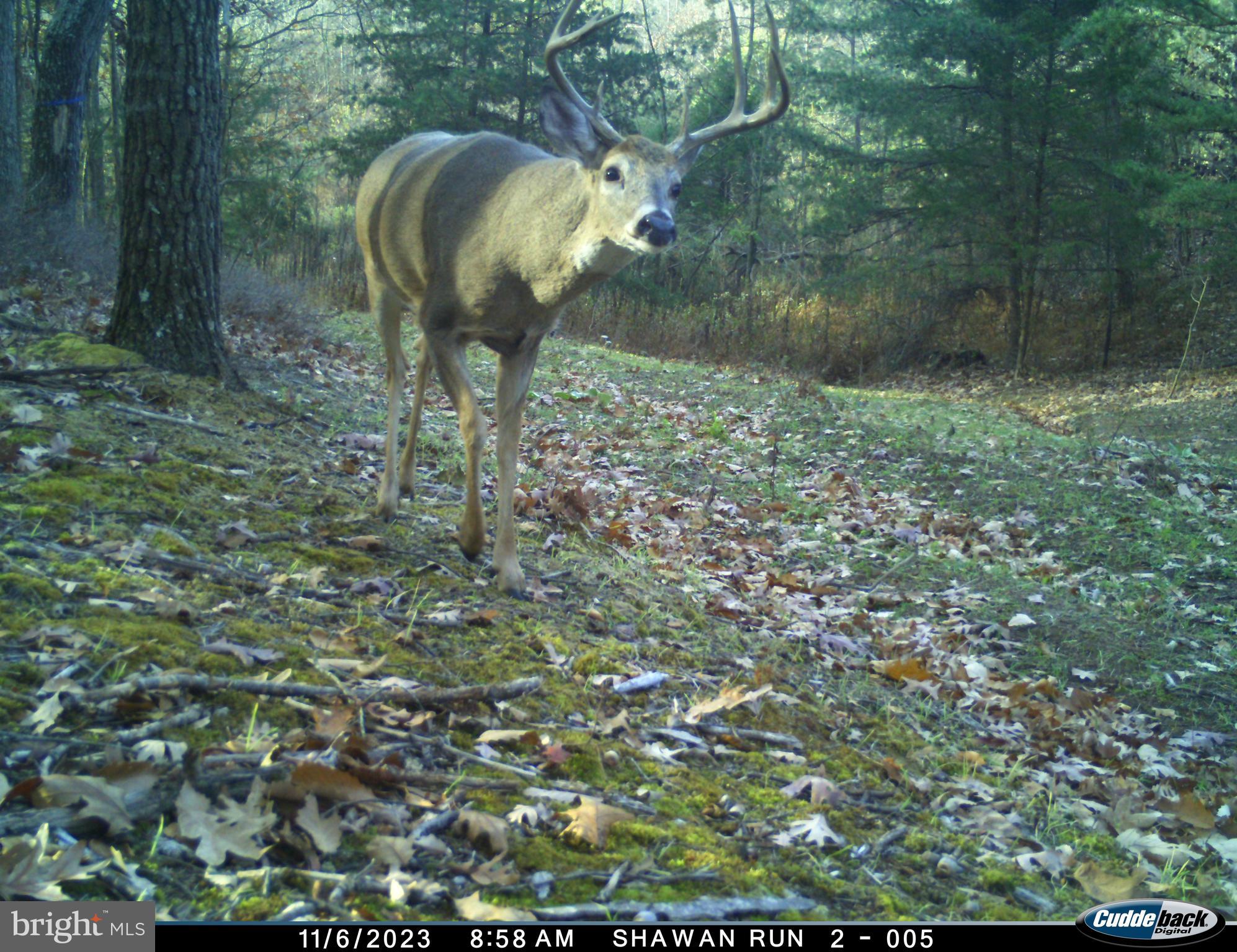 BLUFFS ON THE POTOMAC - Residential