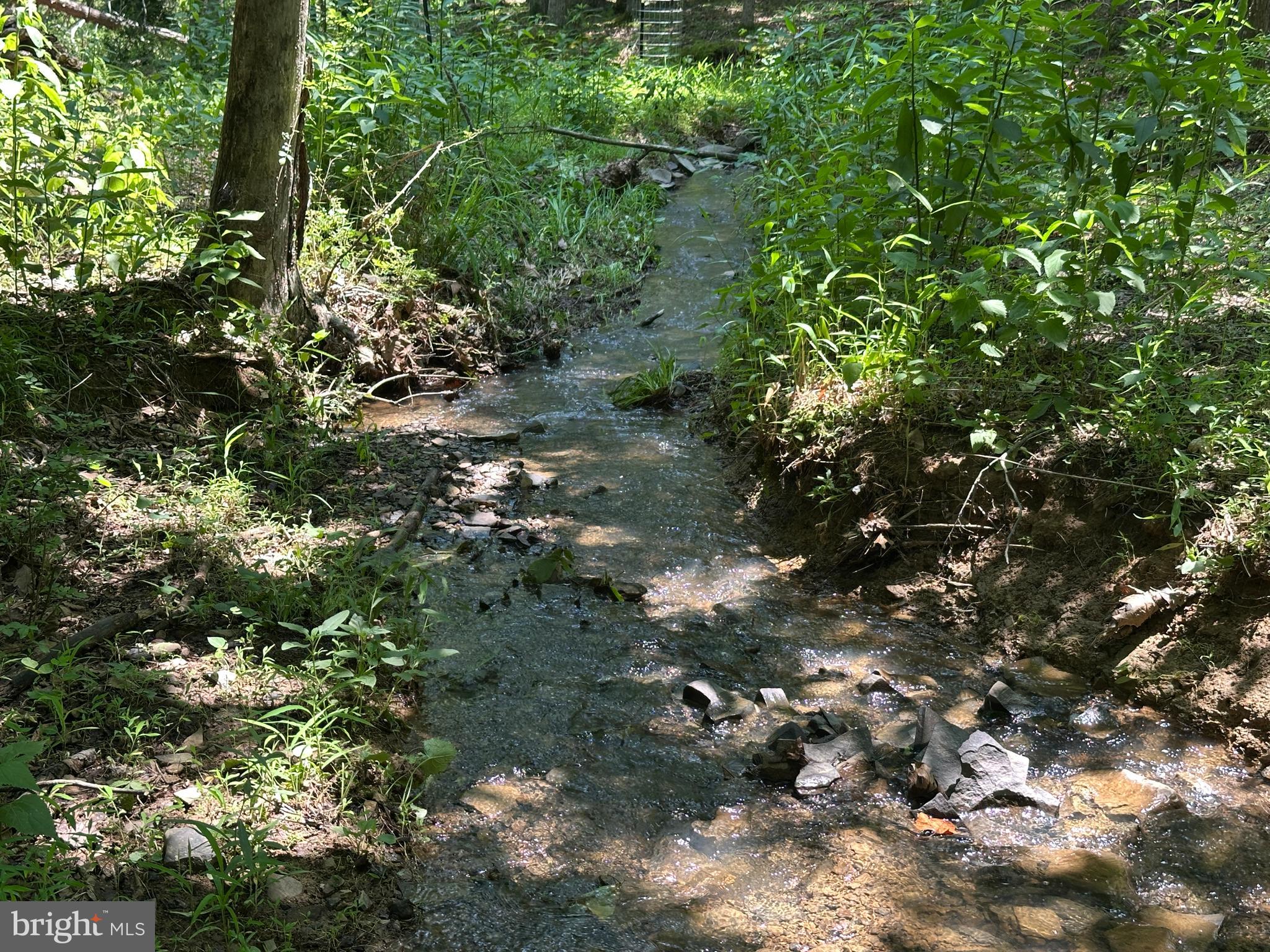 BLUFFS ON THE POTOMAC - Residential
