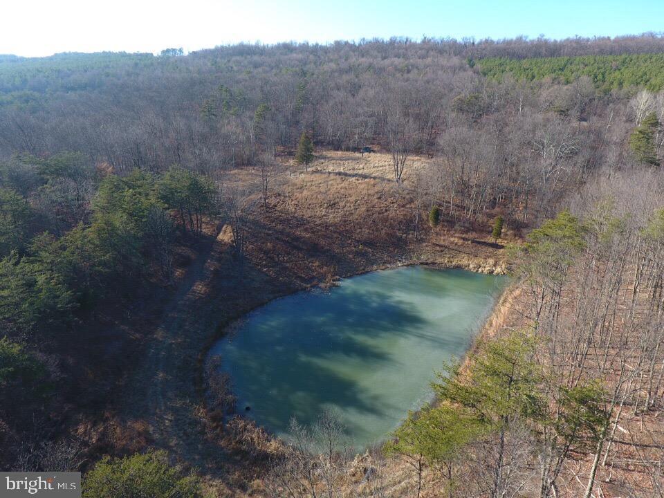 BLUFFS ON THE POTOMAC - Residential