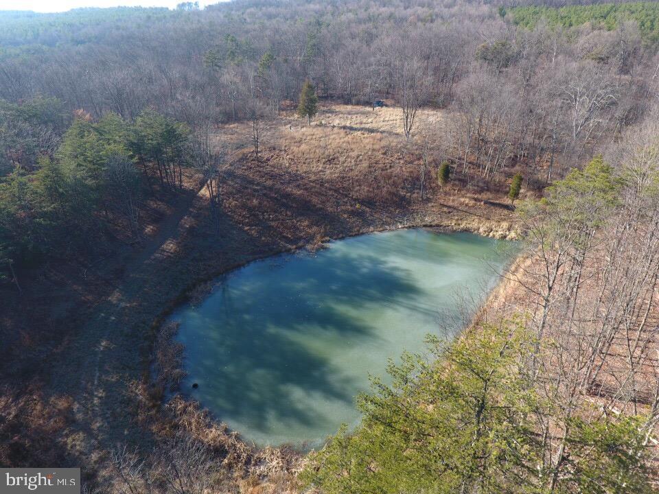 BLUFFS ON THE POTOMAC - Residential