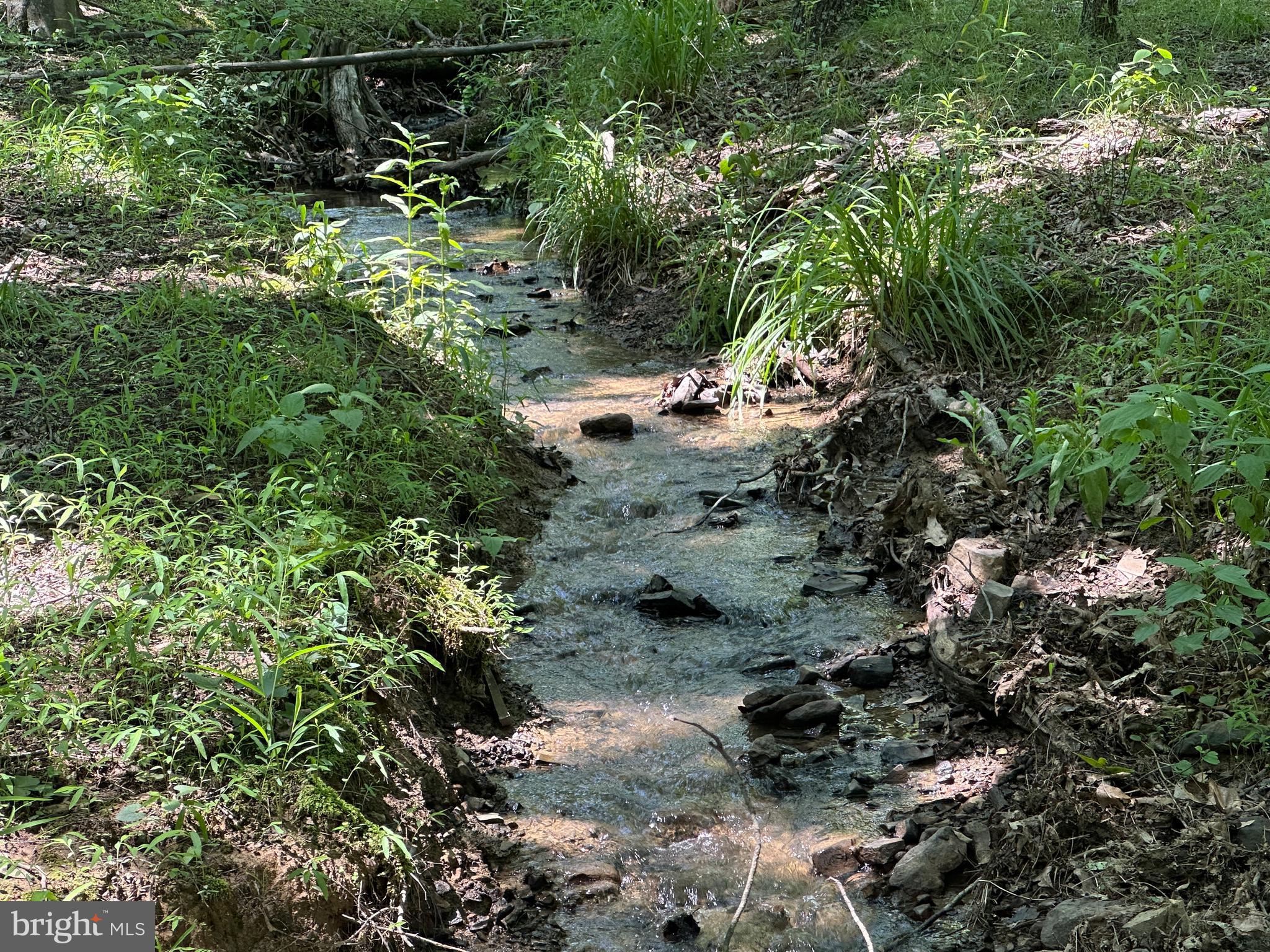 BLUFFS ON THE POTOMAC - Residential