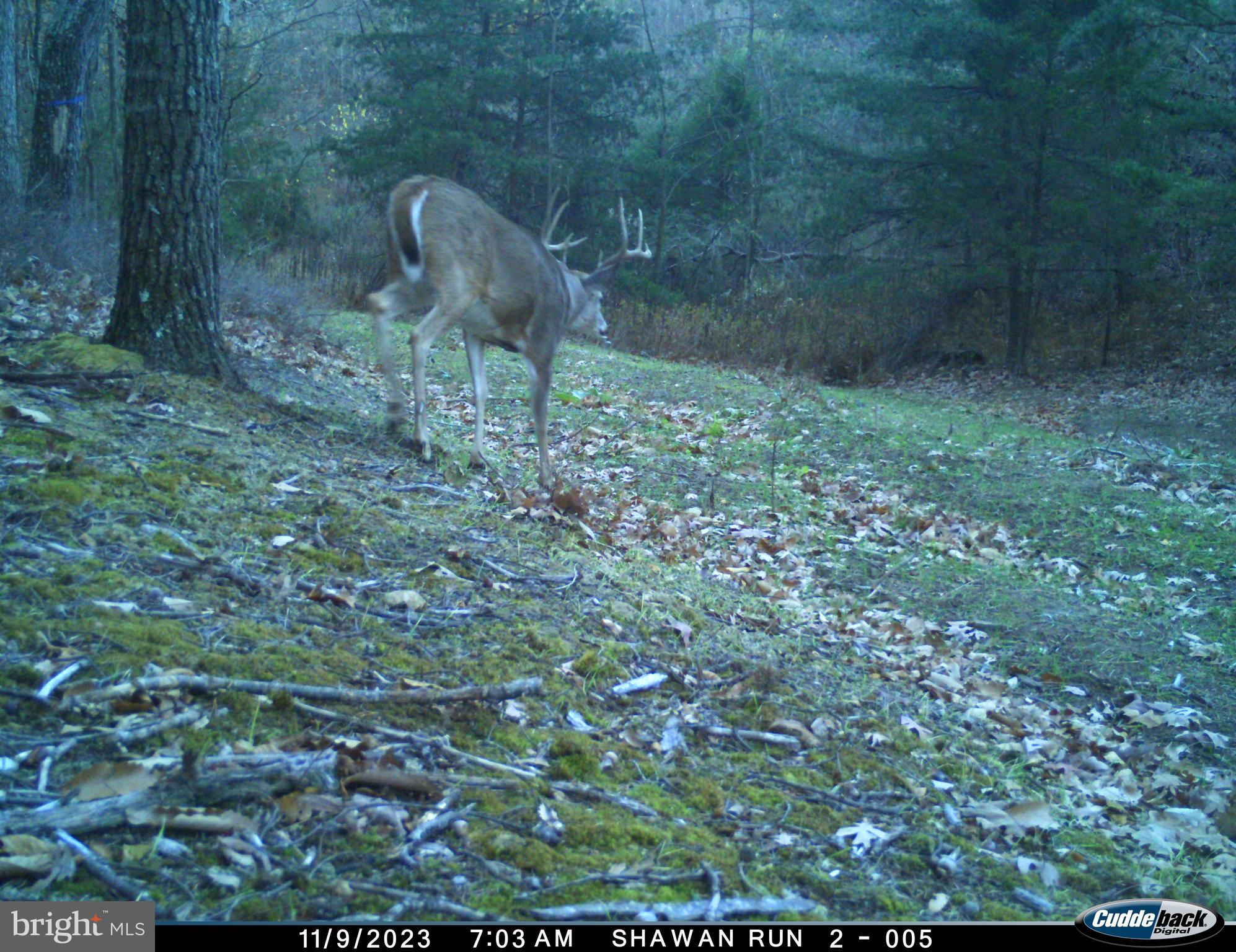 BLUFFS ON THE POTOMAC - Residential