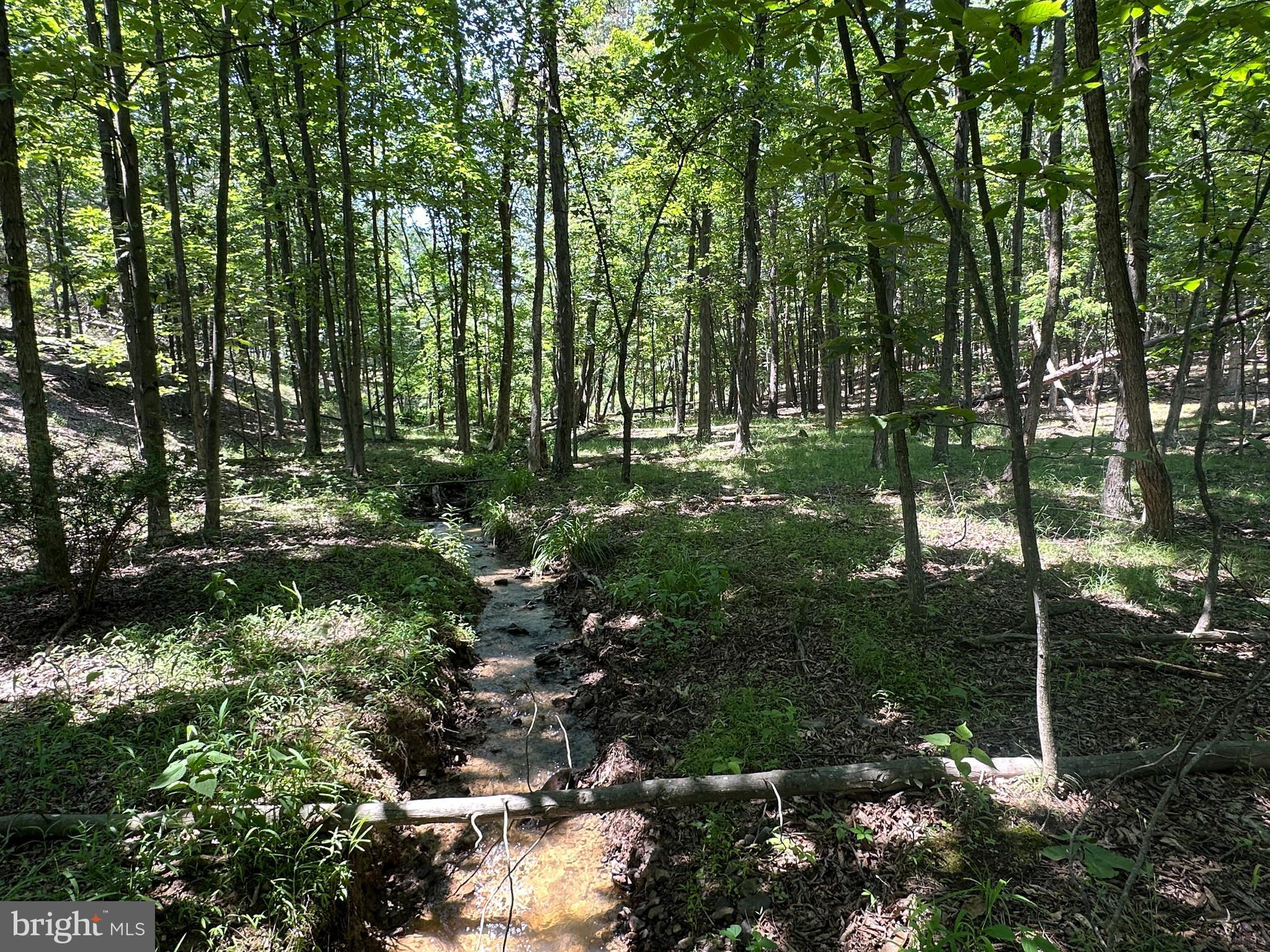 BLUFFS ON THE POTOMAC - Residential