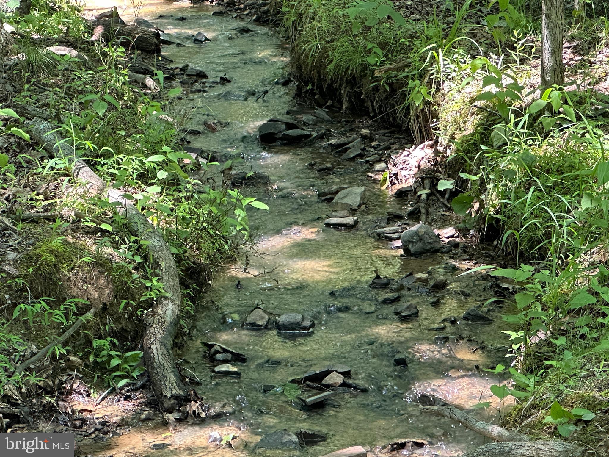 BLUFFS ON THE POTOMAC - Residential