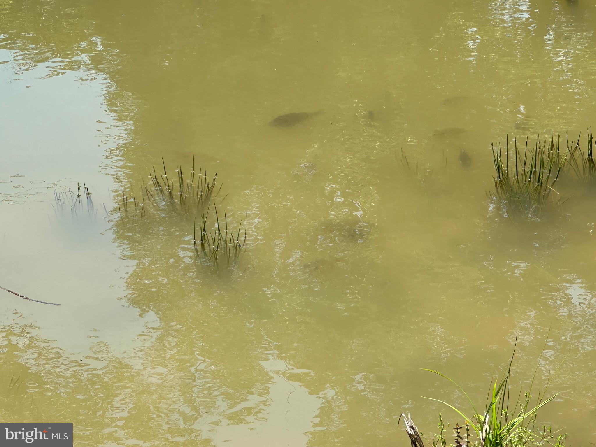 BLUFFS ON THE POTOMAC - Residential