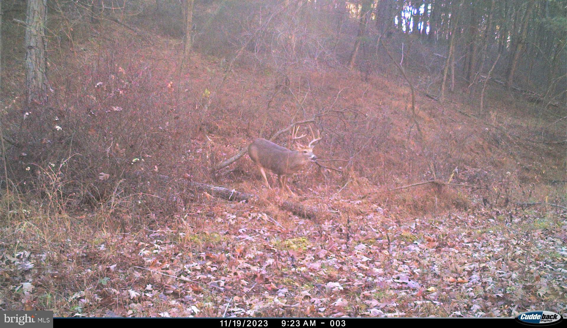 BLUFFS ON THE POTOMAC - Residential