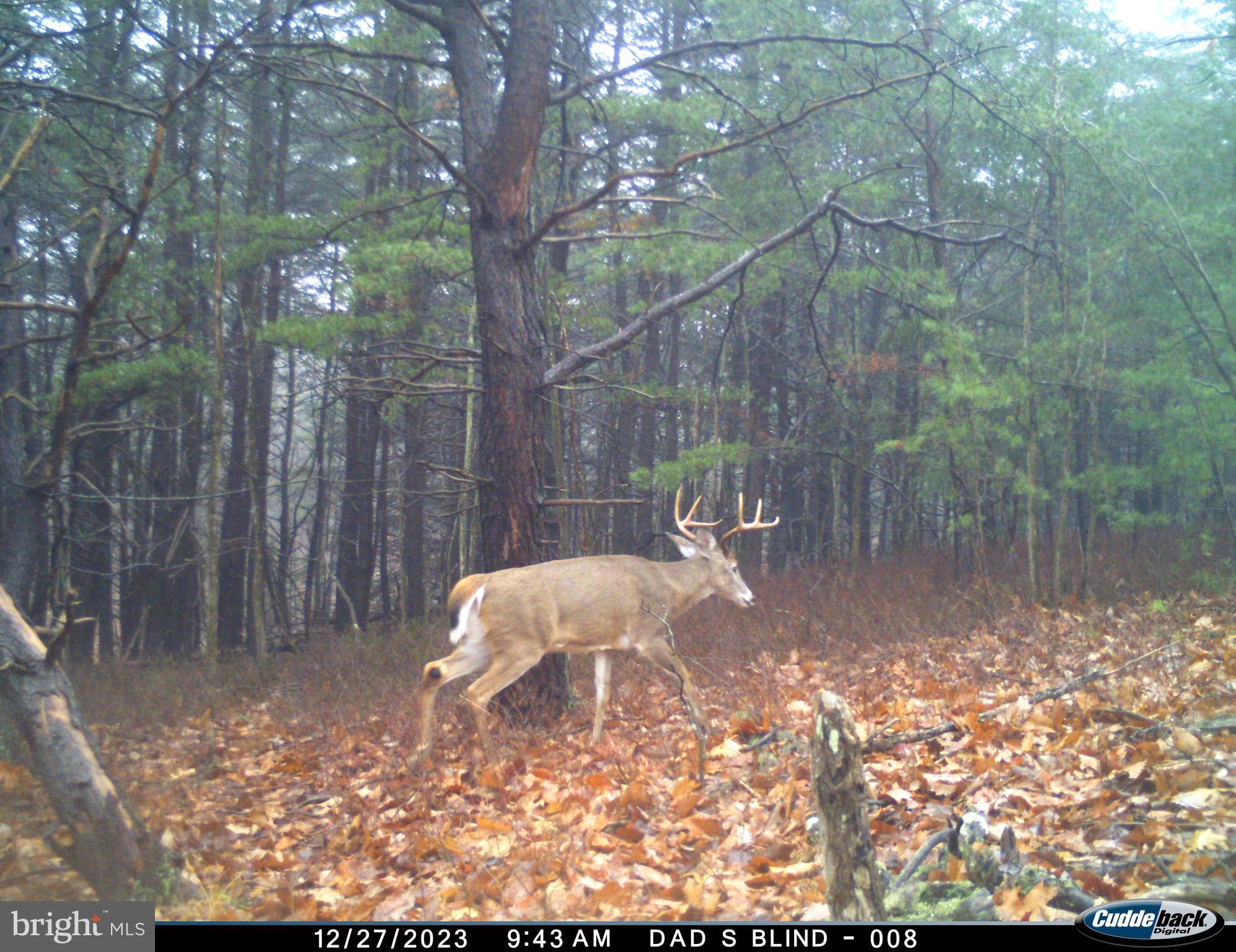 BLUFFS ON THE POTOMAC - Residential