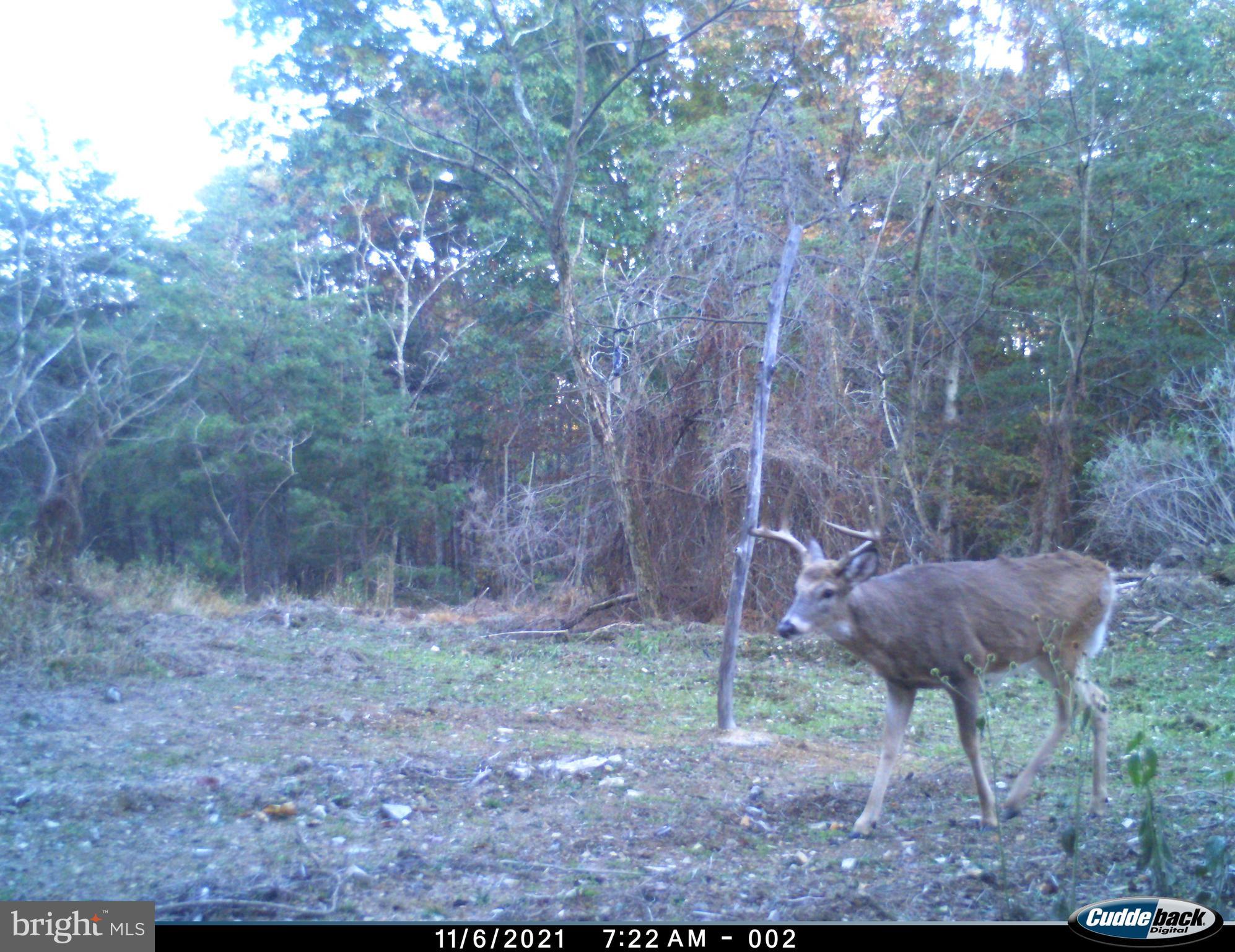 BLUFFS ON THE POTOMAC - Residential