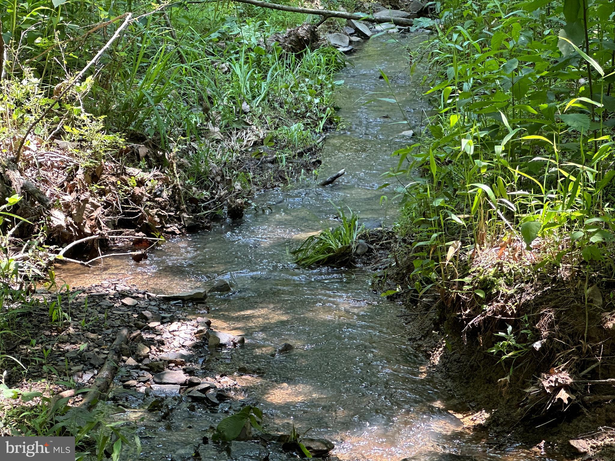 BLUFFS ON THE POTOMAC - Residential