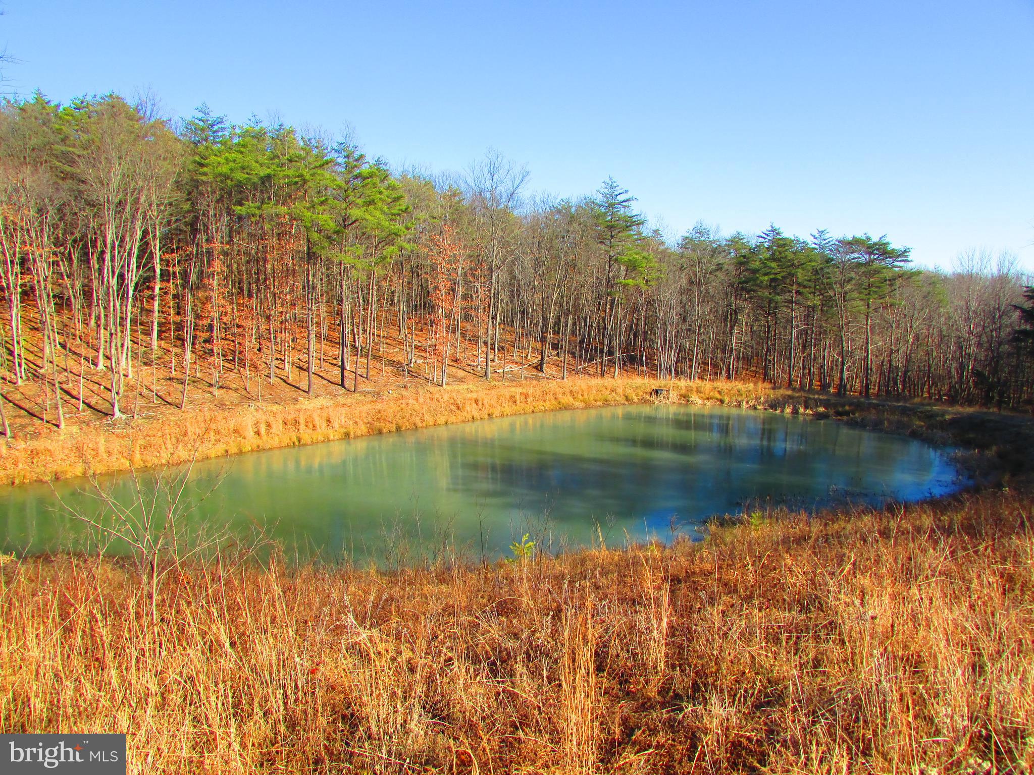 BLUFFS ON THE POTOMAC - Residential