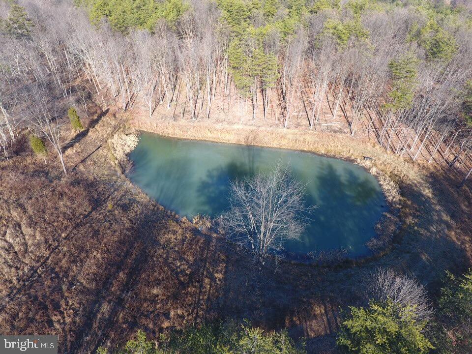 BLUFFS ON THE POTOMAC - Residential