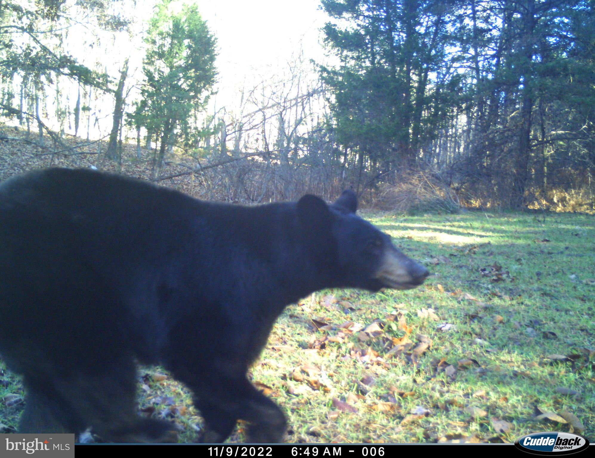 BLUFFS ON THE POTOMAC - Residential