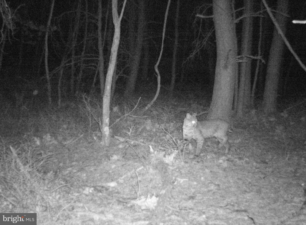 BLUFFS ON THE POTOMAC - Residential