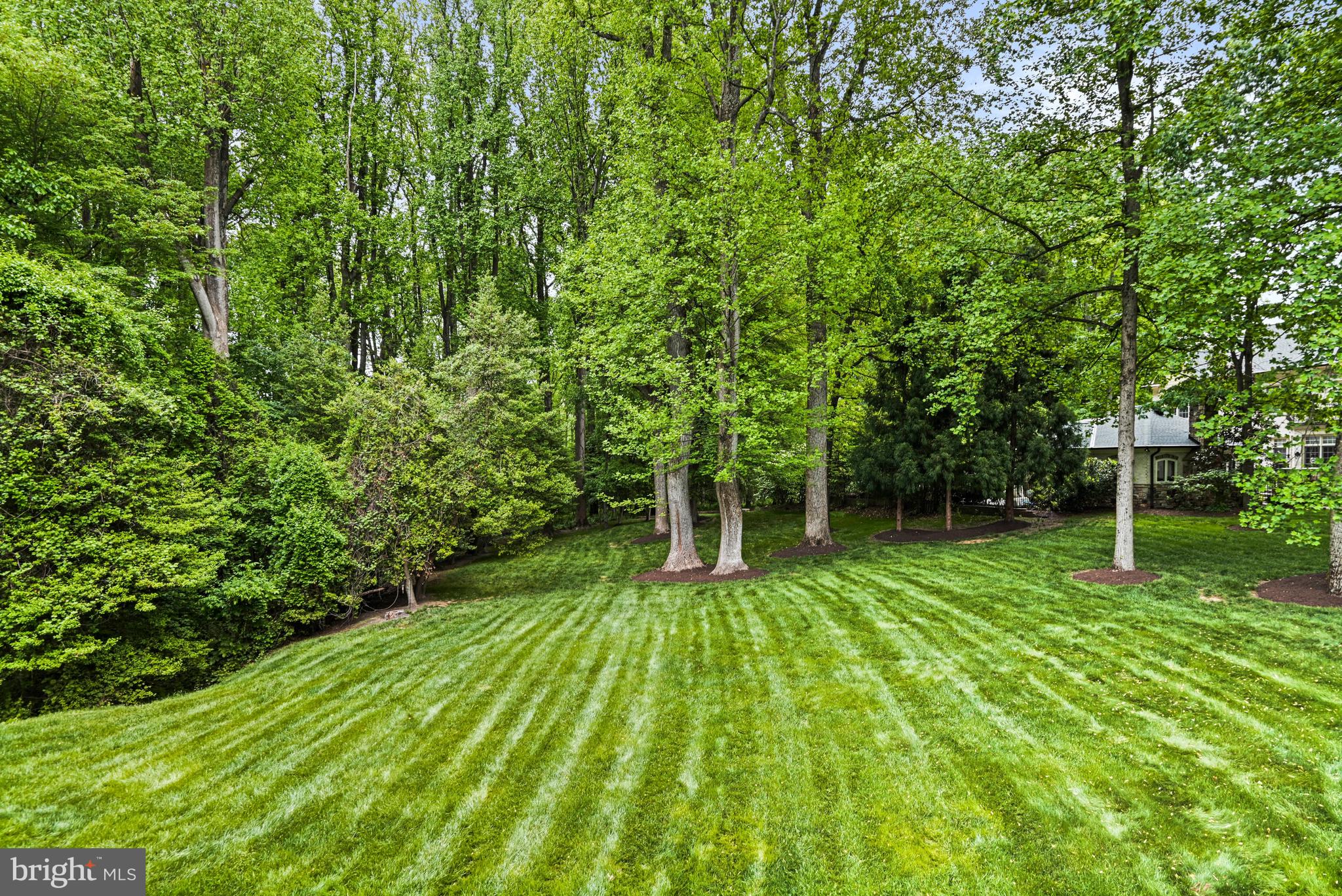 SPRINGHAVEN ESTATES - Residential