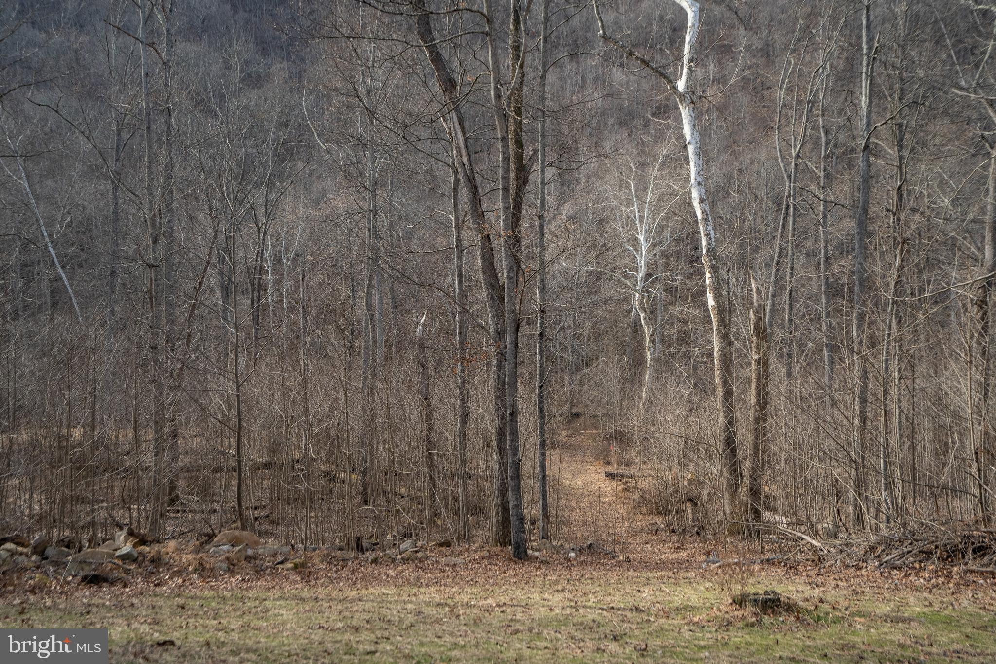 CAPON RIVER VISTA - Residential