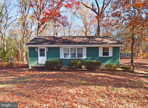 4301 TYASKIN ROAD TYASKIN MD 21865