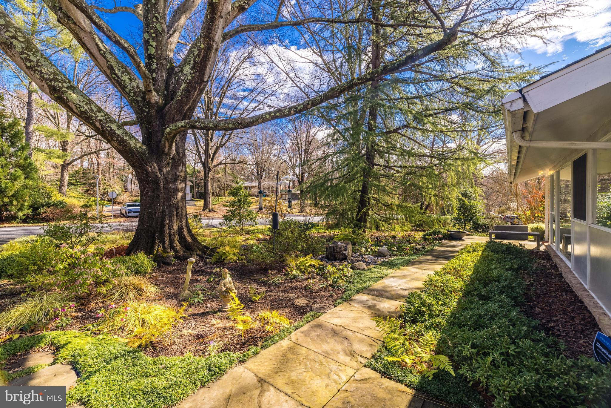 CARDEROCK SPRINGS - Residential