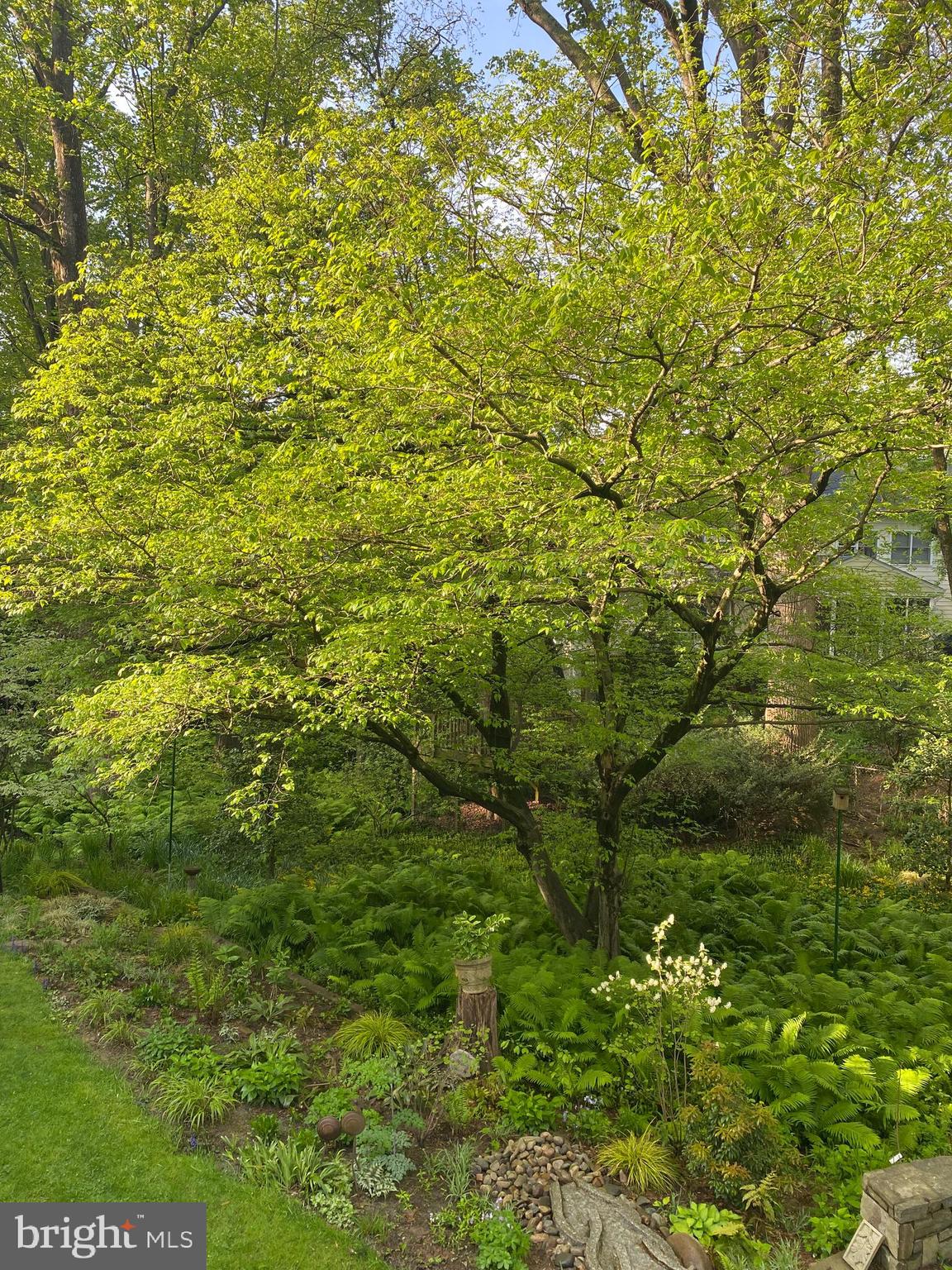 CARDEROCK SPRINGS - Residential