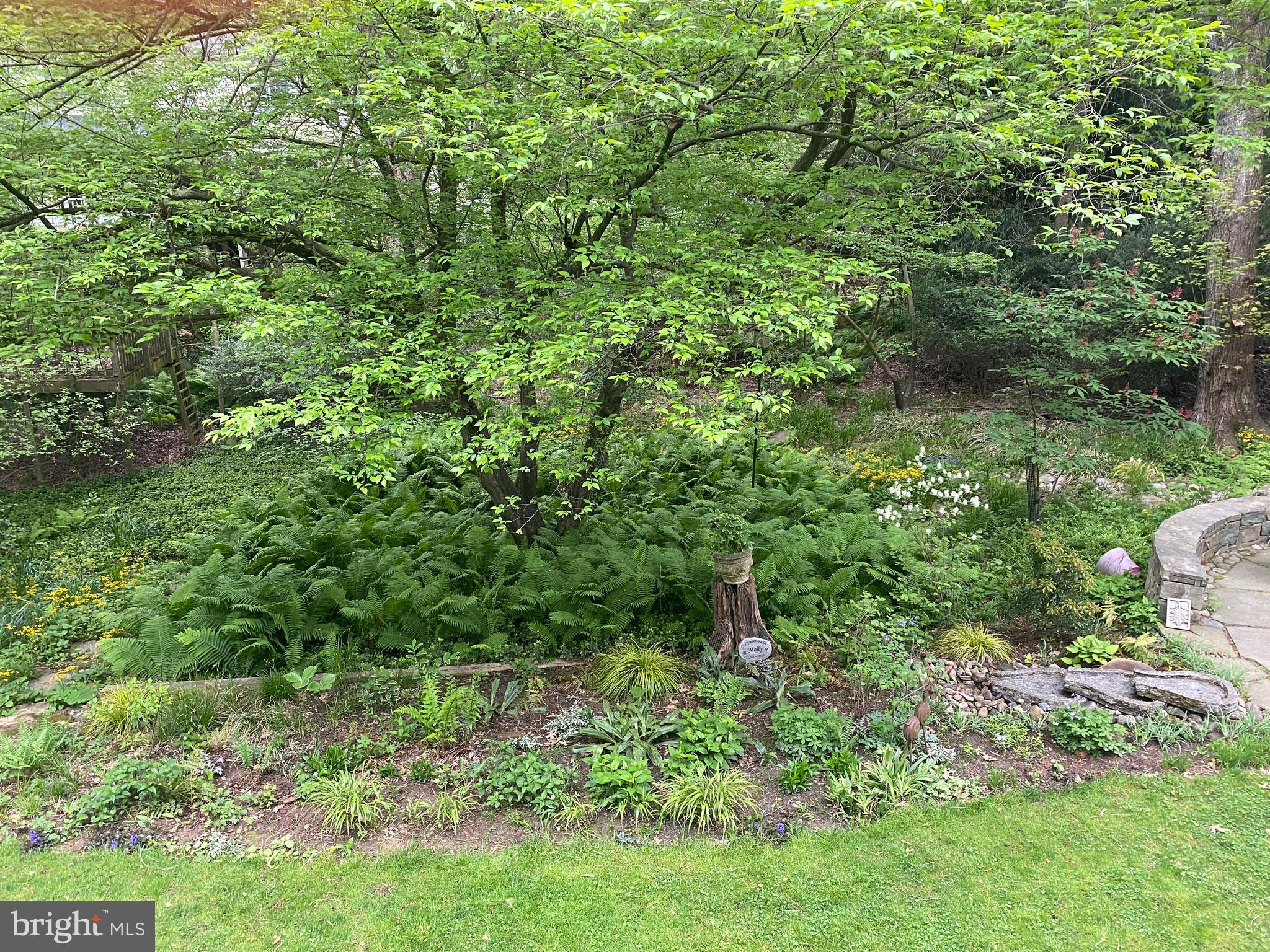 CARDEROCK SPRINGS - Residential