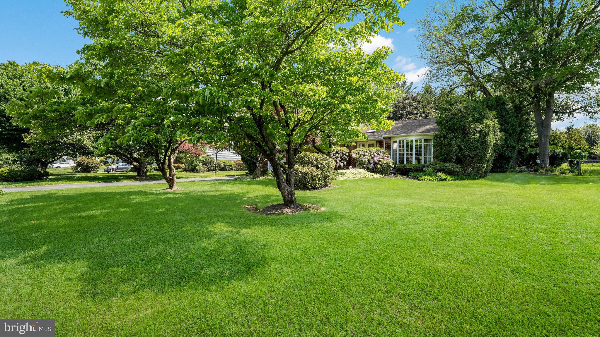 39 SHELLEY ROAD