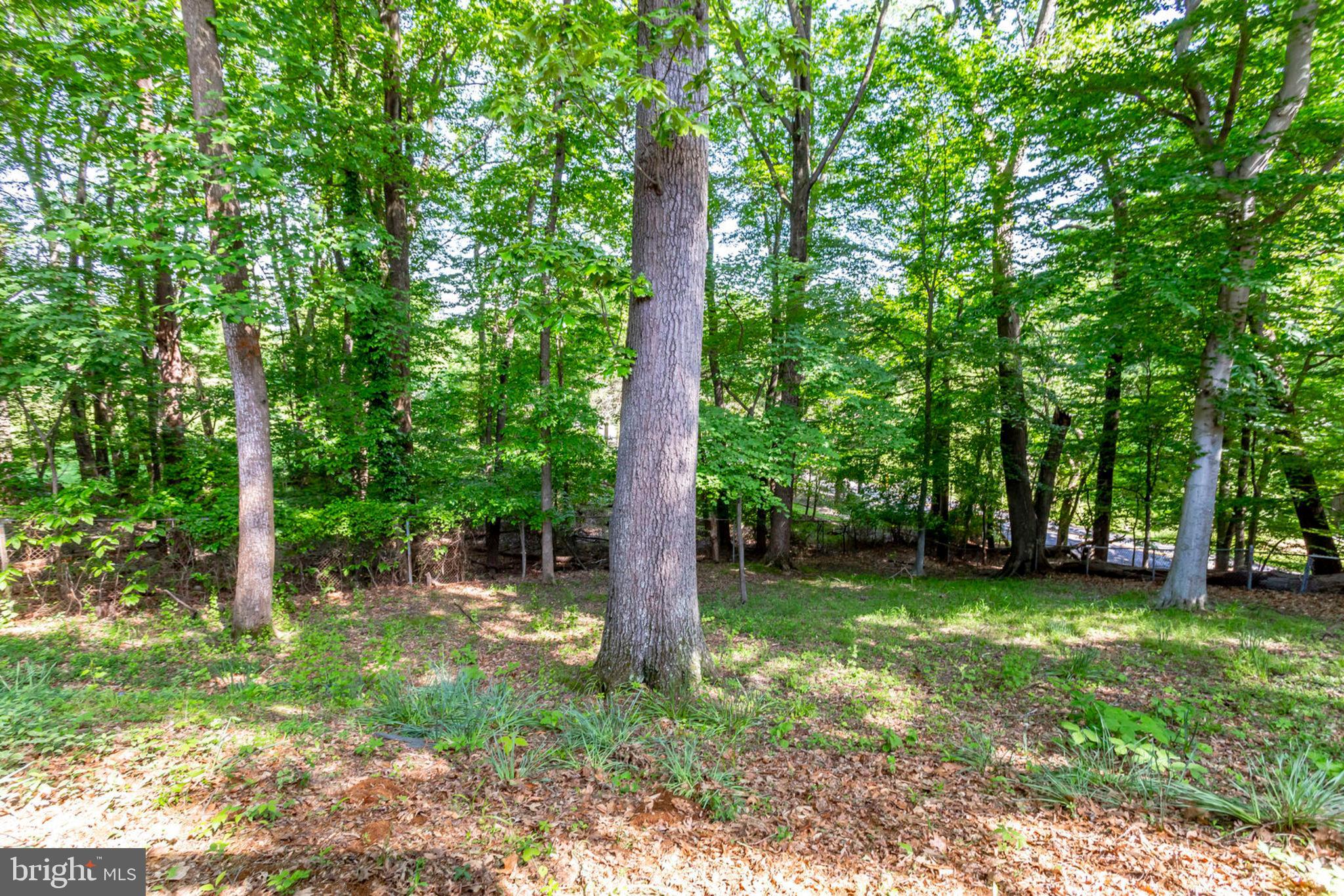 FORT WASHINGTON ESTATES - Residential