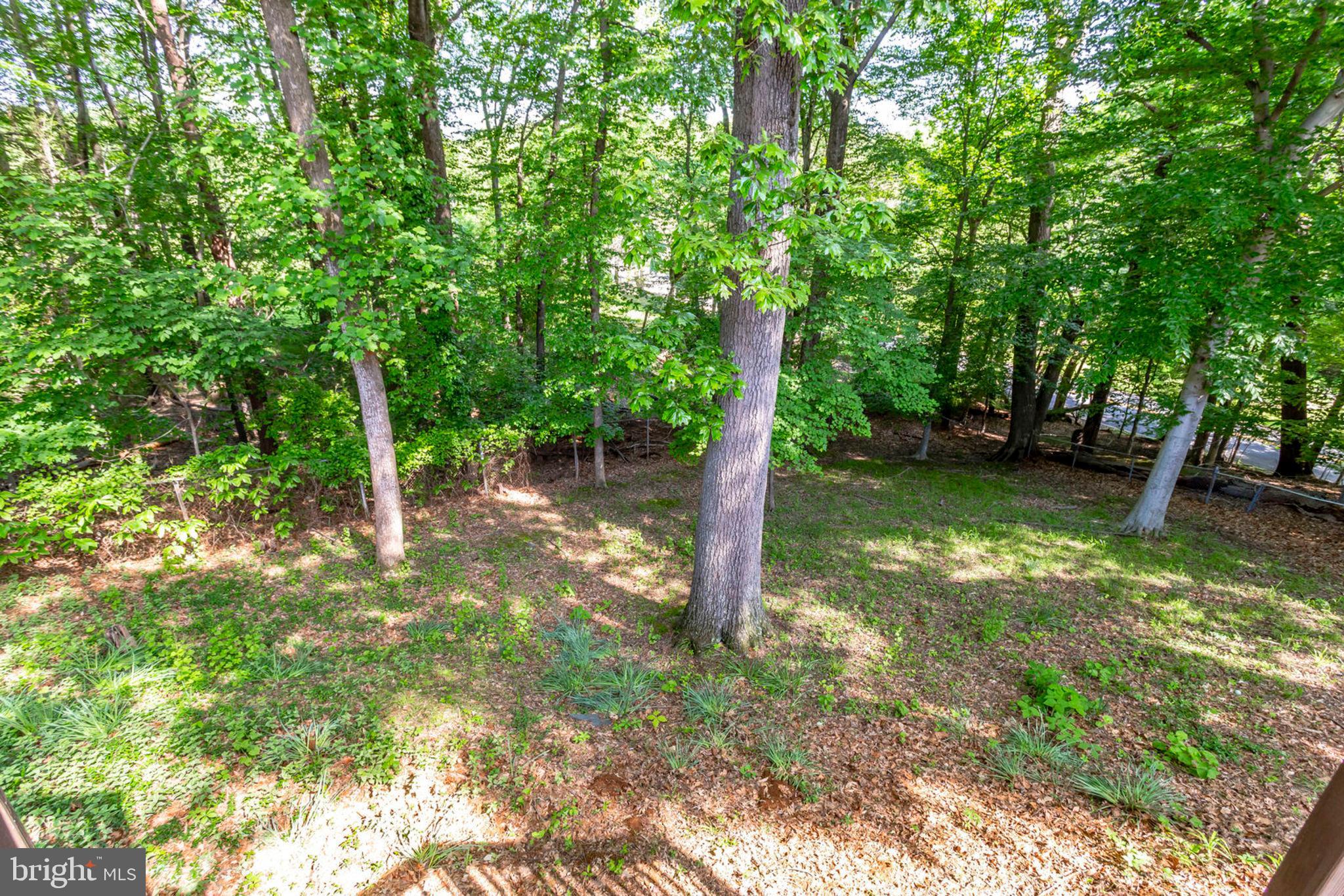 FORT WASHINGTON ESTATES - Residential