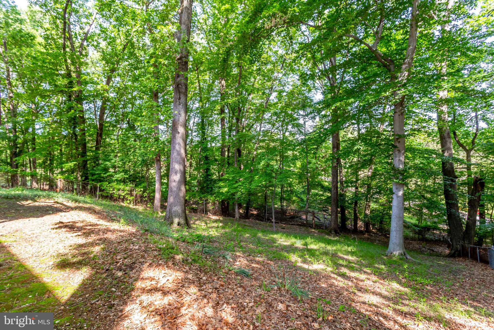 FORT WASHINGTON ESTATES - Residential