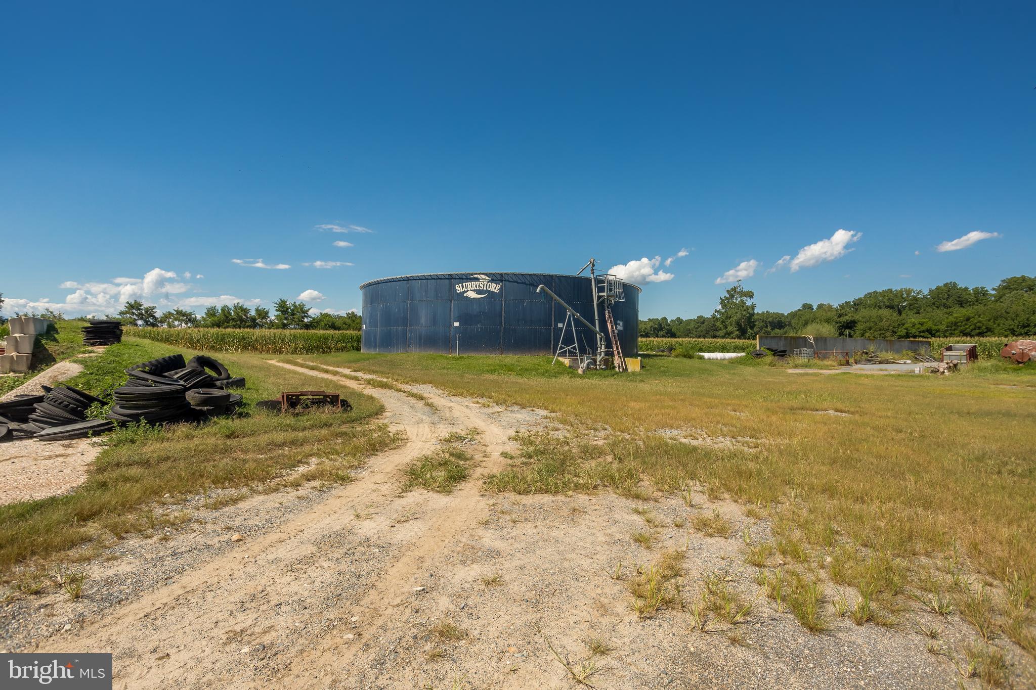 NONE AVAILABLE - Farm