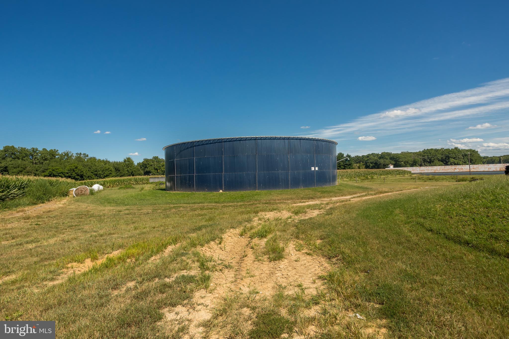 NONE AVAILABLE - Farm