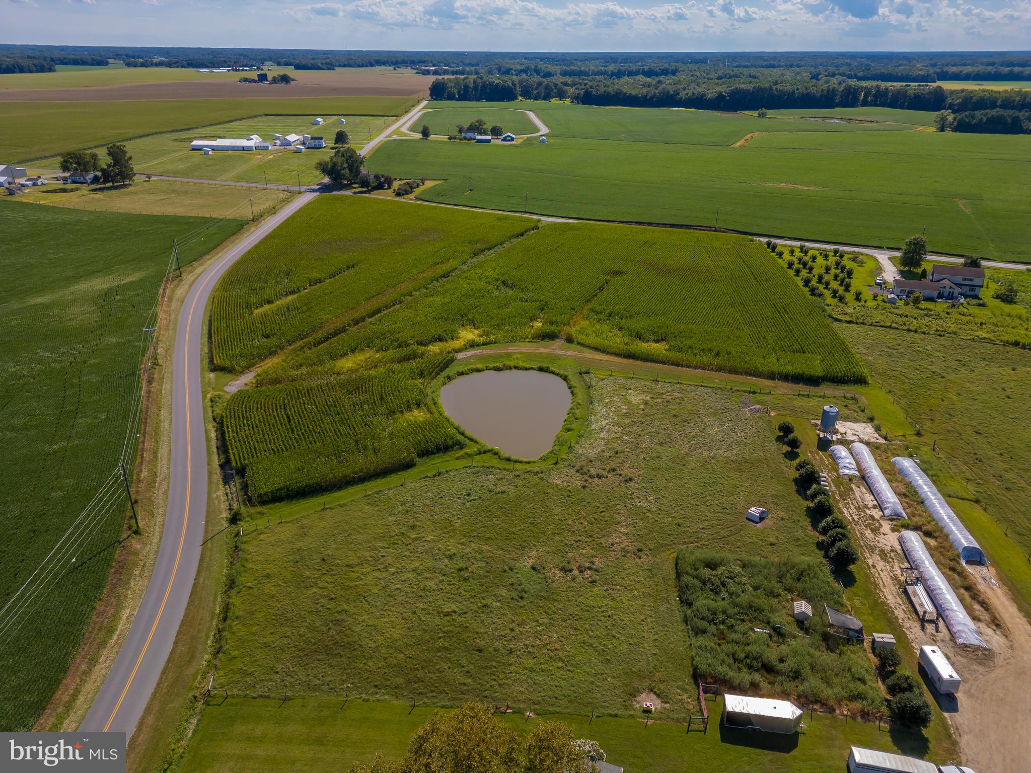 NONE AVAILABLE - Farm