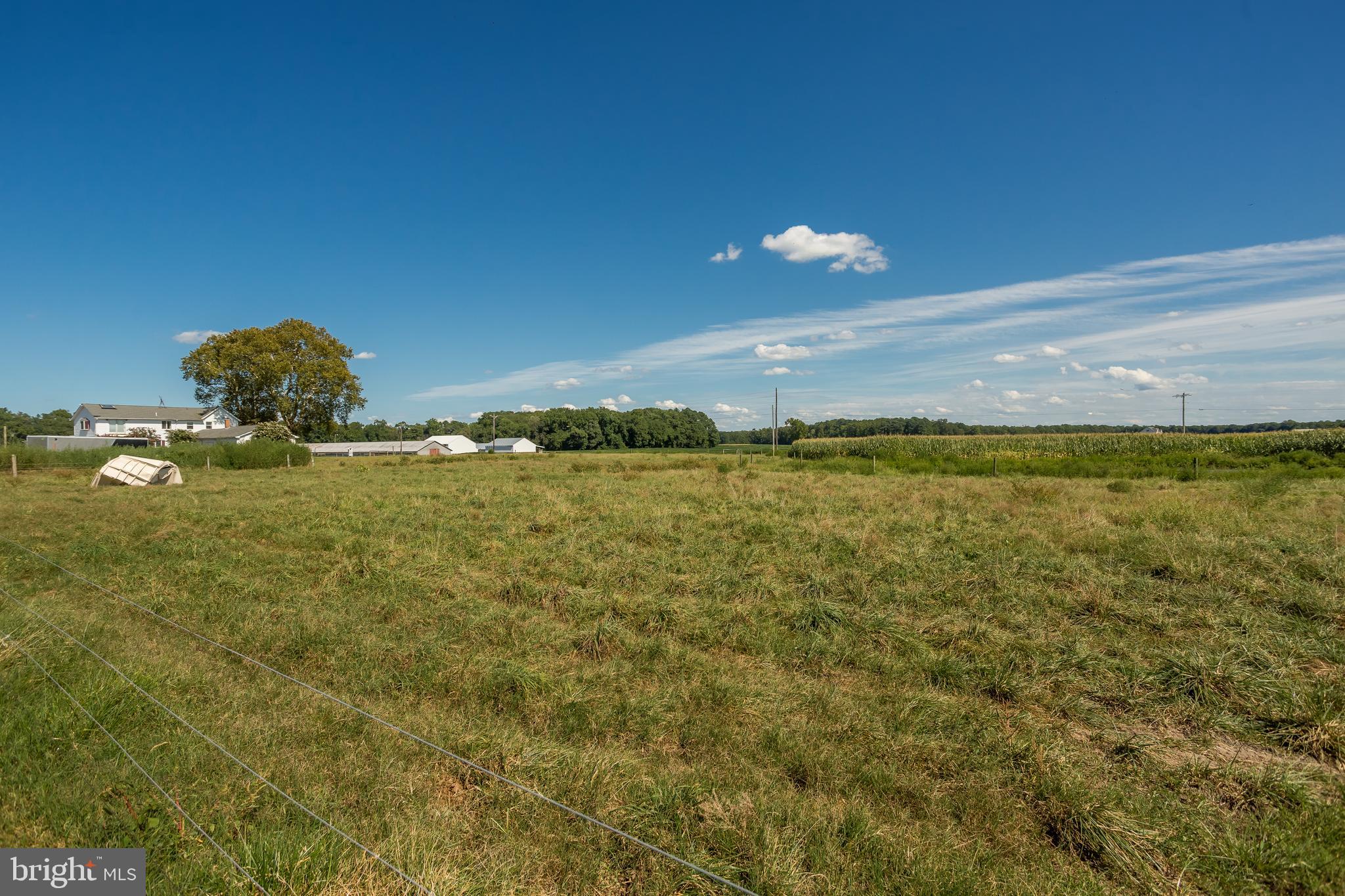 NONE AVAILABLE - Farm