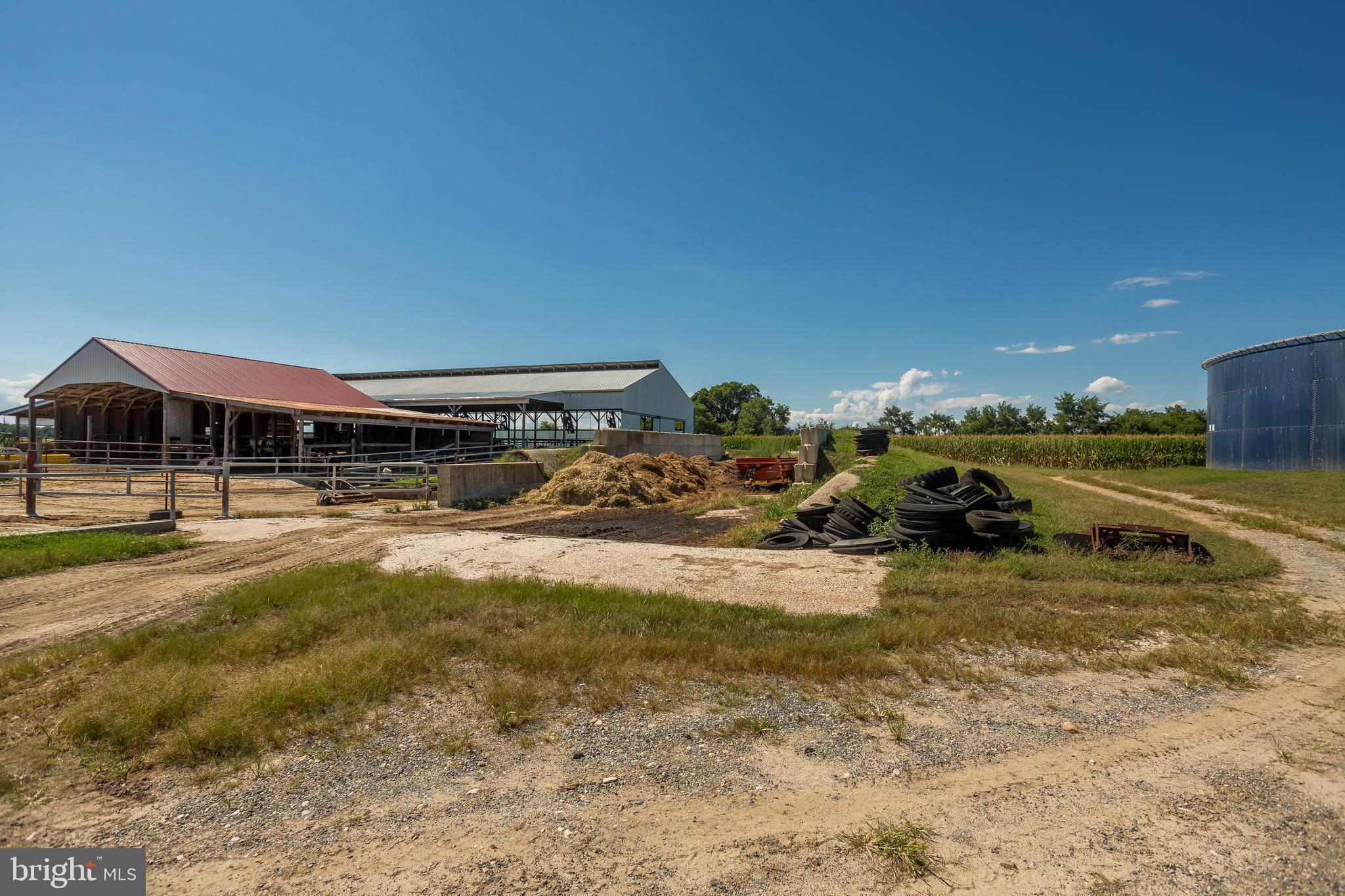 NONE AVAILABLE - Farm