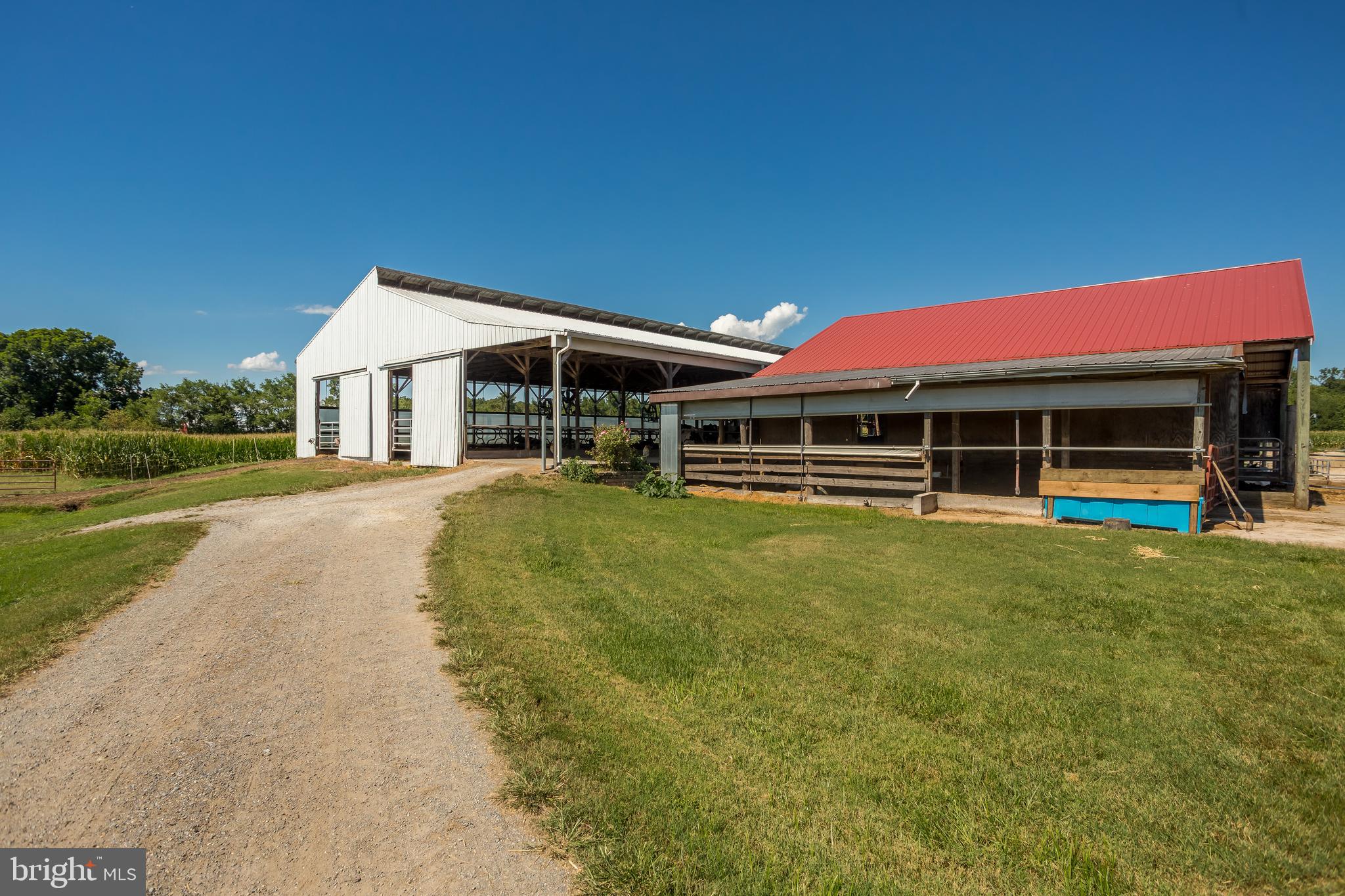 NONE AVAILABLE - Farm