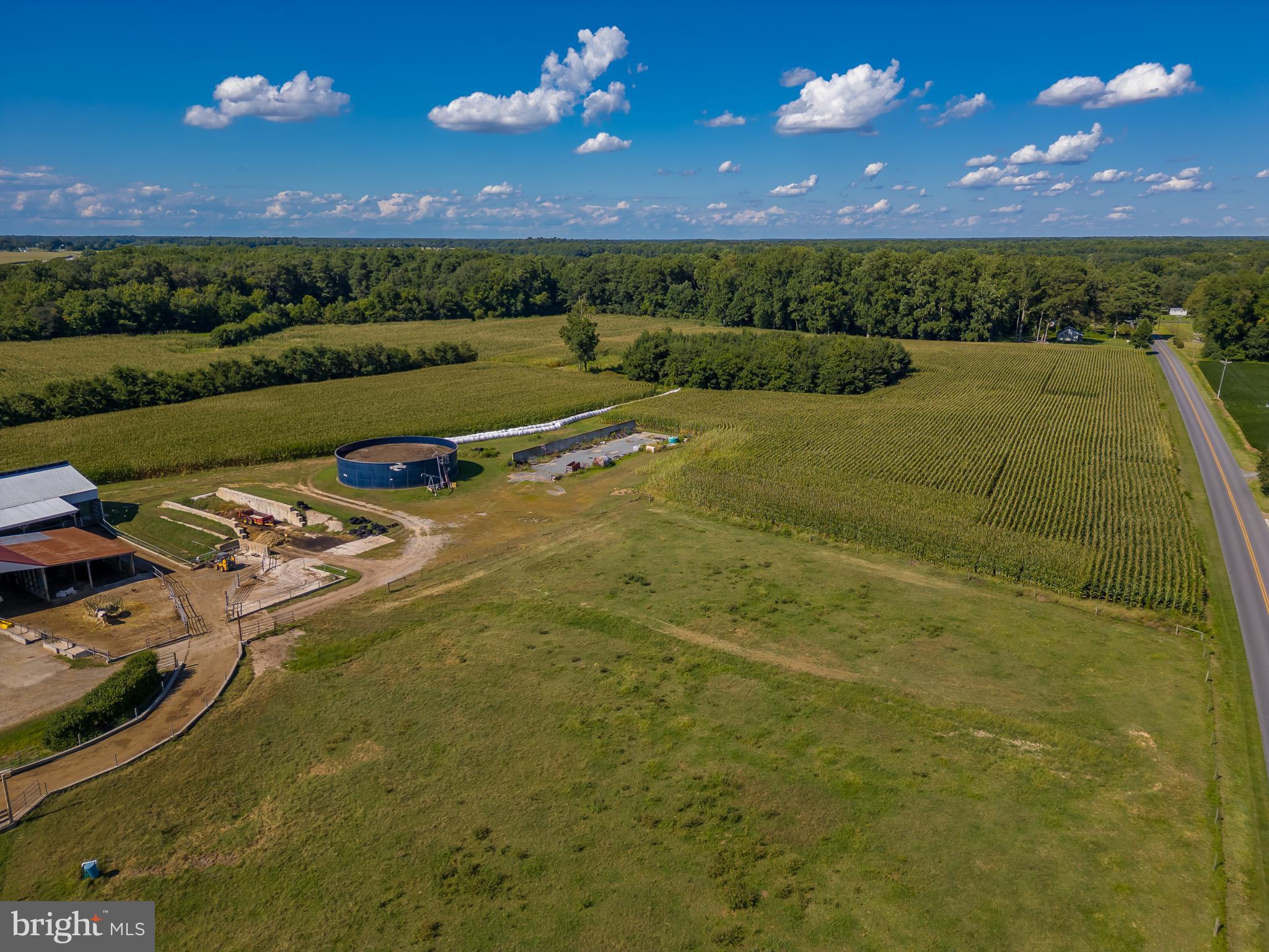 NONE AVAILABLE - Farm