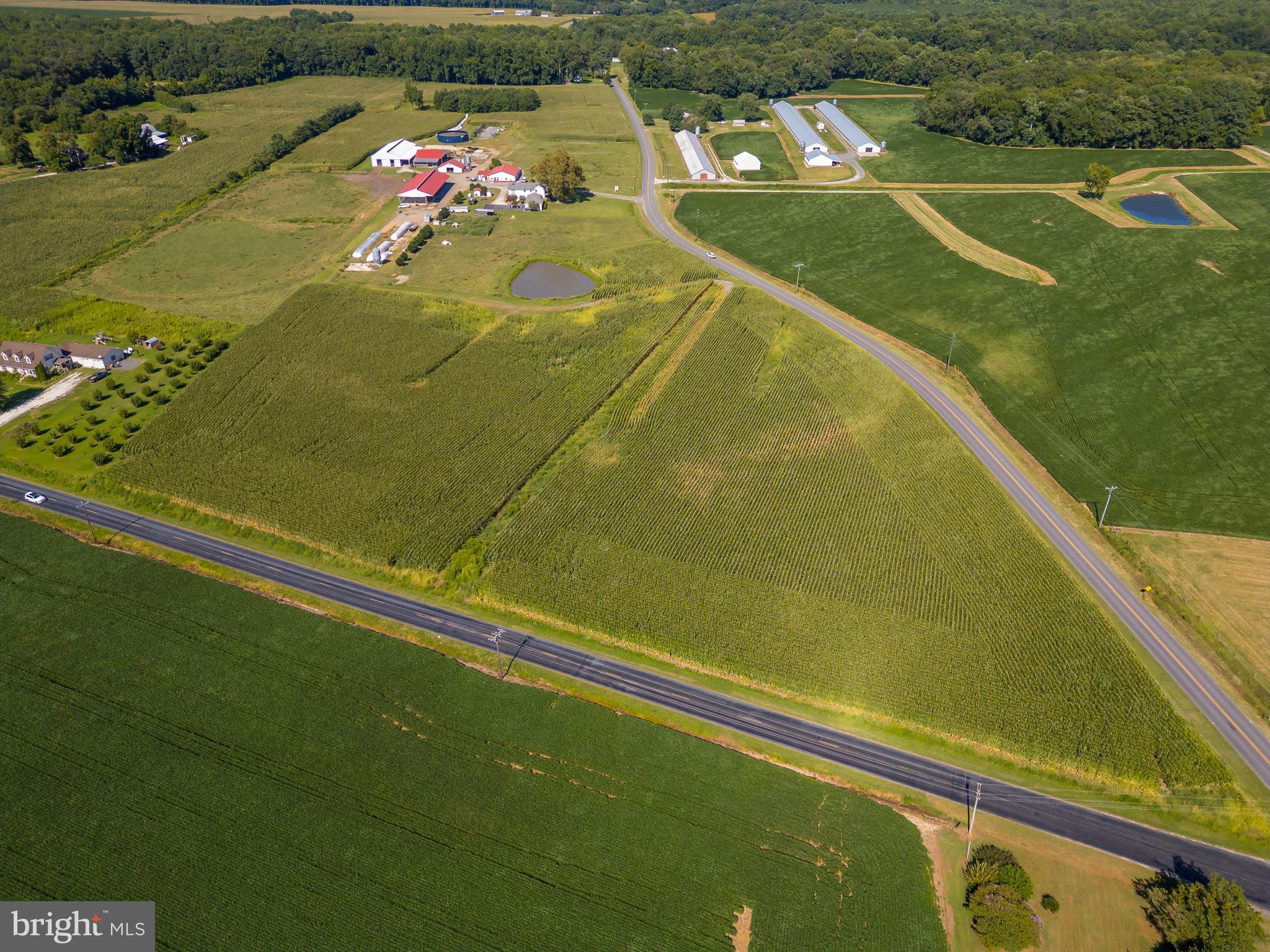 NONE AVAILABLE - Farm