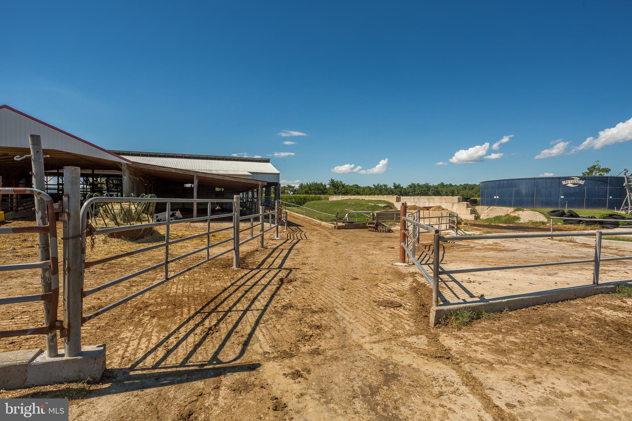 NONE AVAILABLE - Farm