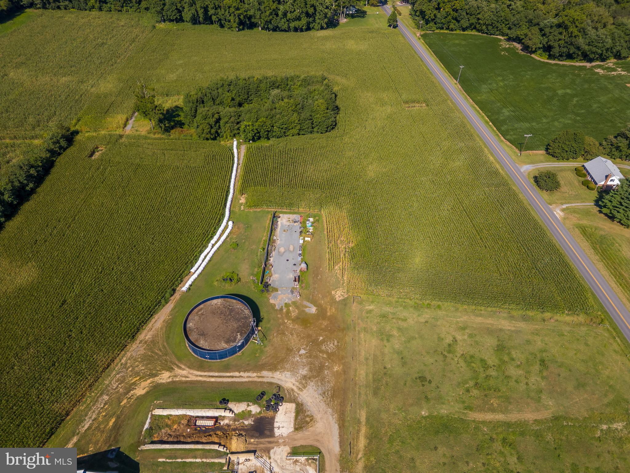 NONE AVAILABLE - Farm