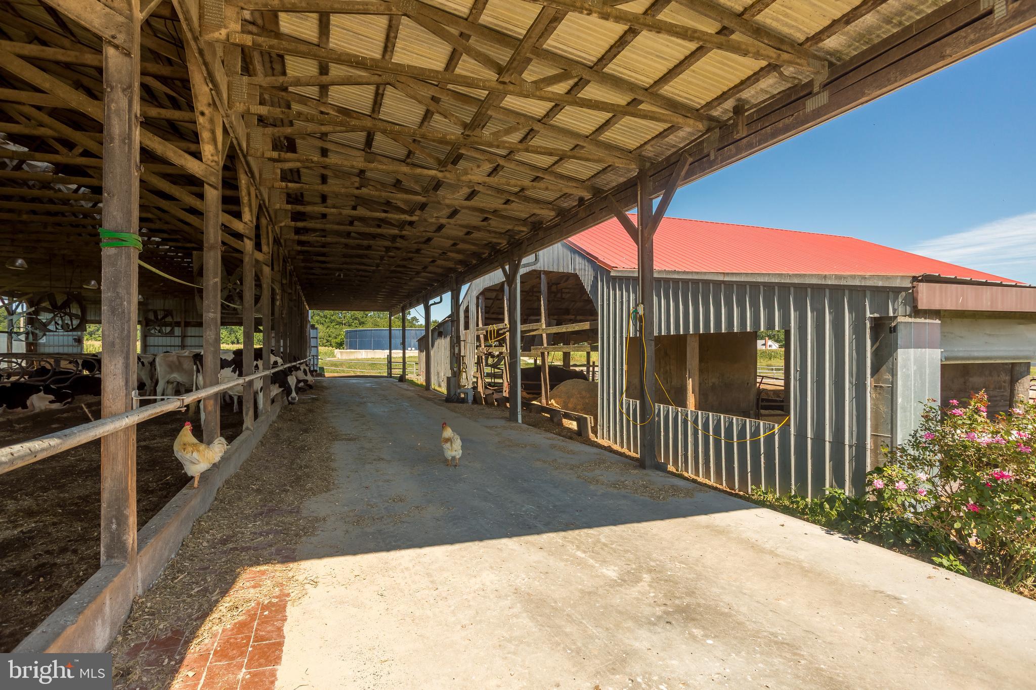 NONE AVAILABLE - Farm